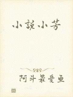 小说小芳