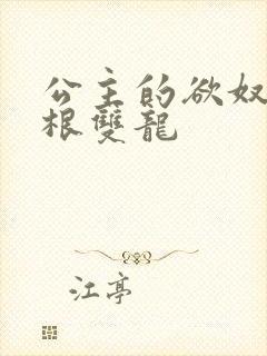 公主的欲奴h四根双龙