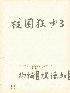 校园狂少3