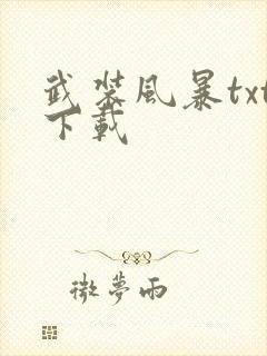 武装风暴txt下载