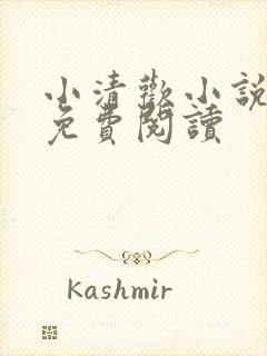 小清欢小说全文免费阅读