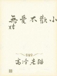 无爱不欢小说txt