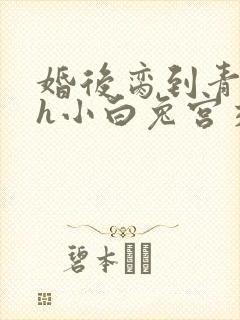 婚后脔到青梅哭h小白兔宫交h