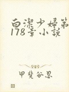 白洁少妇第1一178章小说