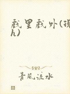 戏里戏外(现场h)