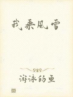 我乘风雪