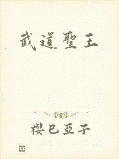 武道圣王