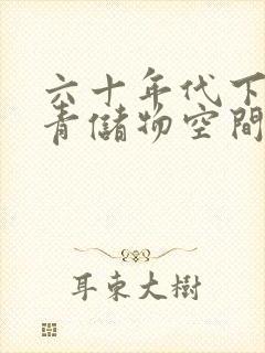 六十年代下乡知青储物空间