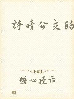 诗晴公交的小说