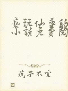 亵玩仙尊的道侣小说免费阅读