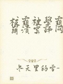 校霸被学霸玩到崩溃云译网