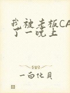 我被老板CAO了一晚上