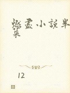 燃尽小说半截白菜