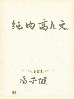 纯肉高h文