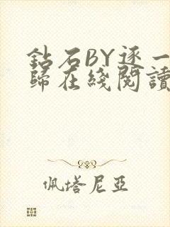 钻石BY逐一而归在线阅读