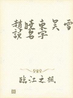 赵晓东吴雪晴小说名字