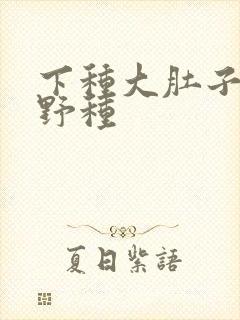 下种大肚子怀孕野种