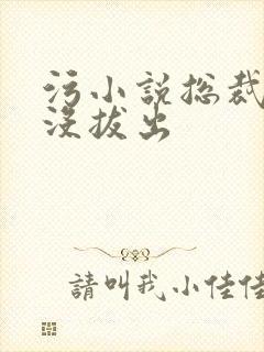 污小说总裁整夜没拔出