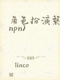 角色扮演系统(npn)