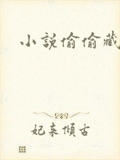 小说偷偷藏不住