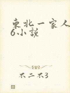 东北一家人1一6小说
