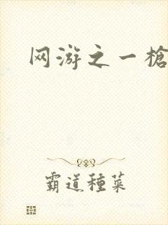 网游之一枪飙血