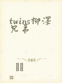 twins柳泽兄弟