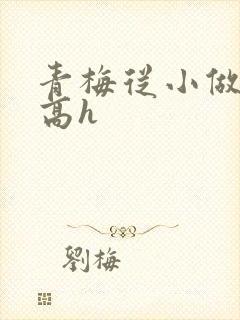 青梅从小做到大高h
