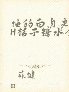 他的白月光HVH桔子糖水全文