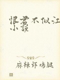 恨君不似江楼月小说