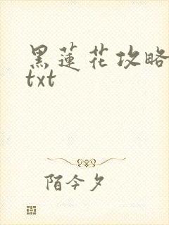 黑莲花攻略手册txt