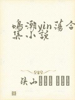 鸣潮yin荡合集小说