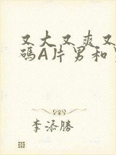 又大又爽又黄无码A片男和男