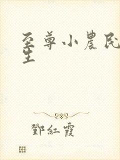 至尊小农民王木生