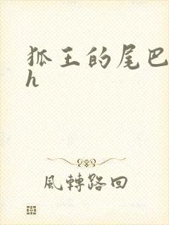 狐王的尾巴高ah