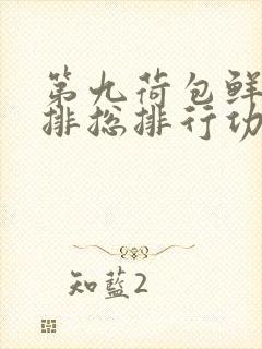 第九荷包鲜辣肉排总排行功能介绍