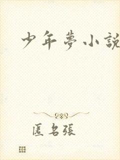 少年梦小说