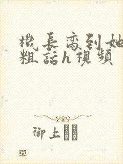 机长脔到她哭h粗话h视频