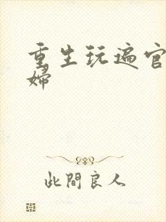 重生玩遍官场贵妇