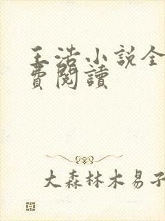 王浩小说全文免费阅读