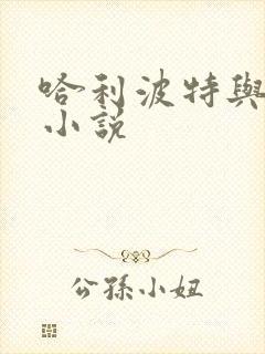 哈利波特与密室小说