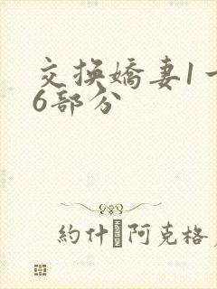交换娇妻1一36部分