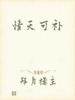 情天可补