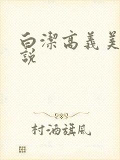 白洁高义美红小说