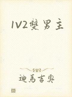 1V2双男主