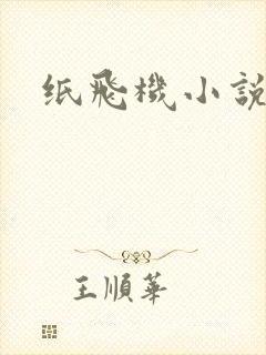 纸飞机小说