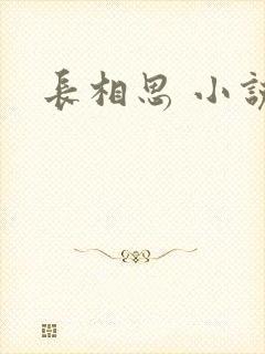 长相思 小说