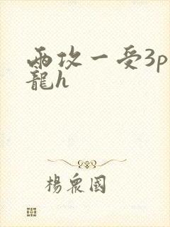 两攻一受3p双龙h