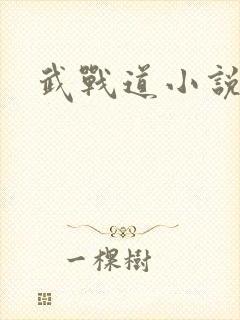 武战道小说