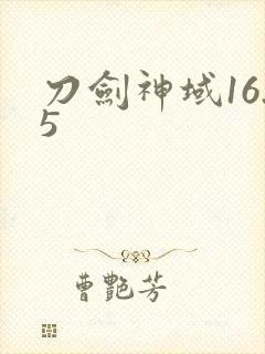 刀剑神域16.5